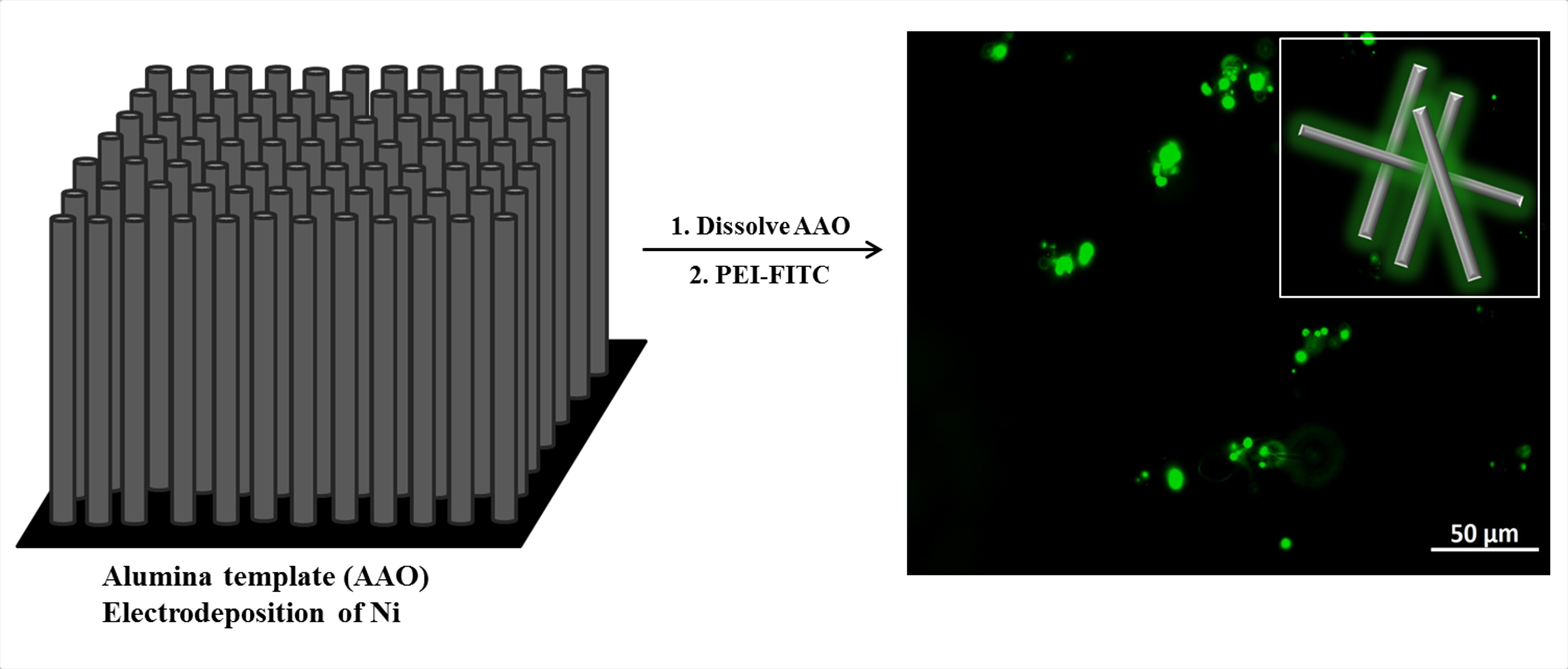 Funcionalização de Nanofios