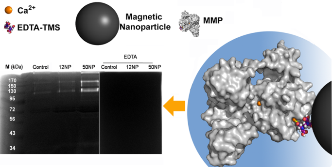 Nanomagnetos